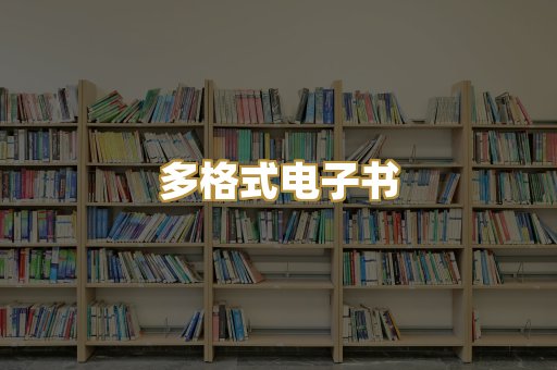 多格式电子书